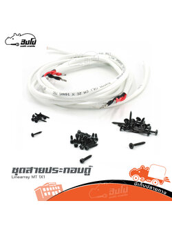 ชุดสายประกอบตู้ Linearray MT 1X1 (SP1)