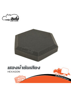 แผ่นฟองน้ำซับเสียง HEXAGON (ฑ17.4)
