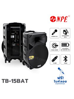 ตู้อเนกประสงค์ 15 นิ้ว NPE TB 15BAT (B8.1)