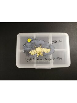 กล่องยาปีชวด