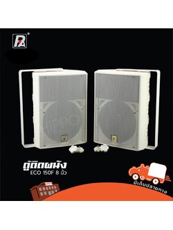 ตู้ผนัง P AUDIO ECO 150F (C25.2)