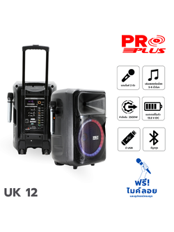 ตู้ขยาย 12 นิ้ว PROPLUS UK 12 (PP1)
