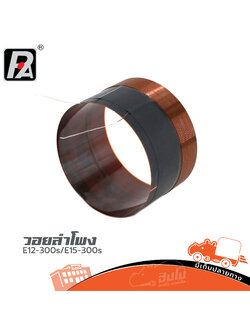 วอยลำโพง P.AUDIO E12 300s/E15 300s (SP1)