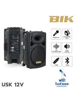 ตู้ขยาย BIK USK 12V (B14.2)