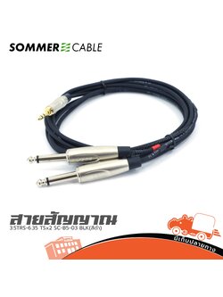 สาย SOMMER 3.5TRS 6.35 TSx2 SC B5 05 BLK(สีดำ) (SP1)