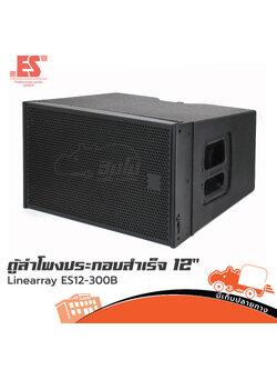 ตู้ลำโพงสำเร็จ 12 นิ้ว Linearray ES12 300B (PP1.)