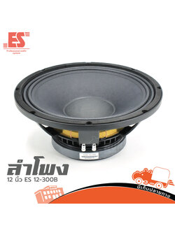 ลำโพง 12 นิ้ว ES12 300B (C20.1)