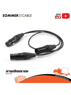 สายสัญญาณสำเร็จ SOMMER สาย Y 1 เมตร P.cannon 1P+J.cannono 2P (HP001-01)