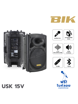 ตู้ขยาย BIK USK 15V (B14.1)