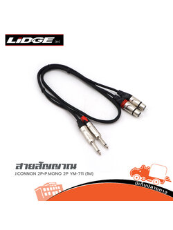 สายสัญญาณ J.CANNON 2P+P.MONO 2P YM 711 1 เมตร LIDGE (HP001-01)