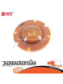 วอยฮอร์น NPE AU 100 แท้ (ง7.2)