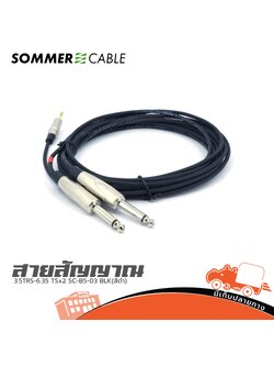 สาย SOMMER 3.5TRS 6.35 TSx2 SC B5 03 BLK(สีดำ) (SP1)