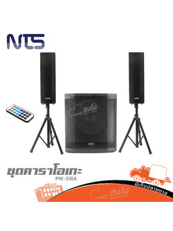 ตู้ขยาย NTS ACTIVE PW 318A (C24.3)