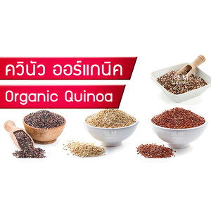 ควินัว ออร์แกนิค ราคาถูก คีนัว ขายส่ง ราคาส่ง Organic Quinoa ตรา Slim Healthy