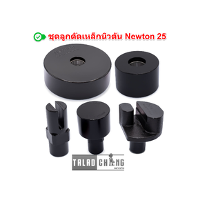 ชุดลูกดัดเหล็กนิวตัน Newton 25