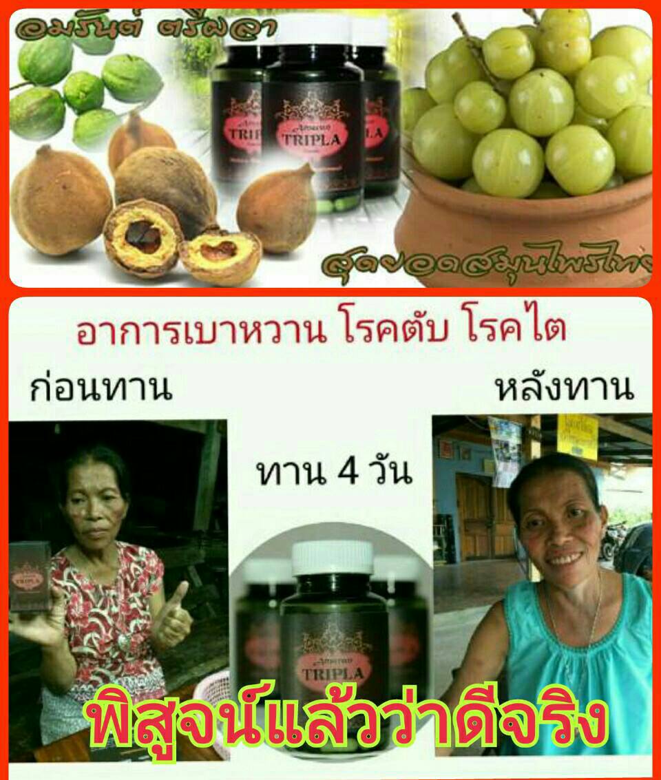 อัมรันต์ ตรีผลา สมุนไพรต้านมะเร็ง รักษาภูมิแพ้ ด้วยเทคโนโลยีการสกัดที่ทันสมัย