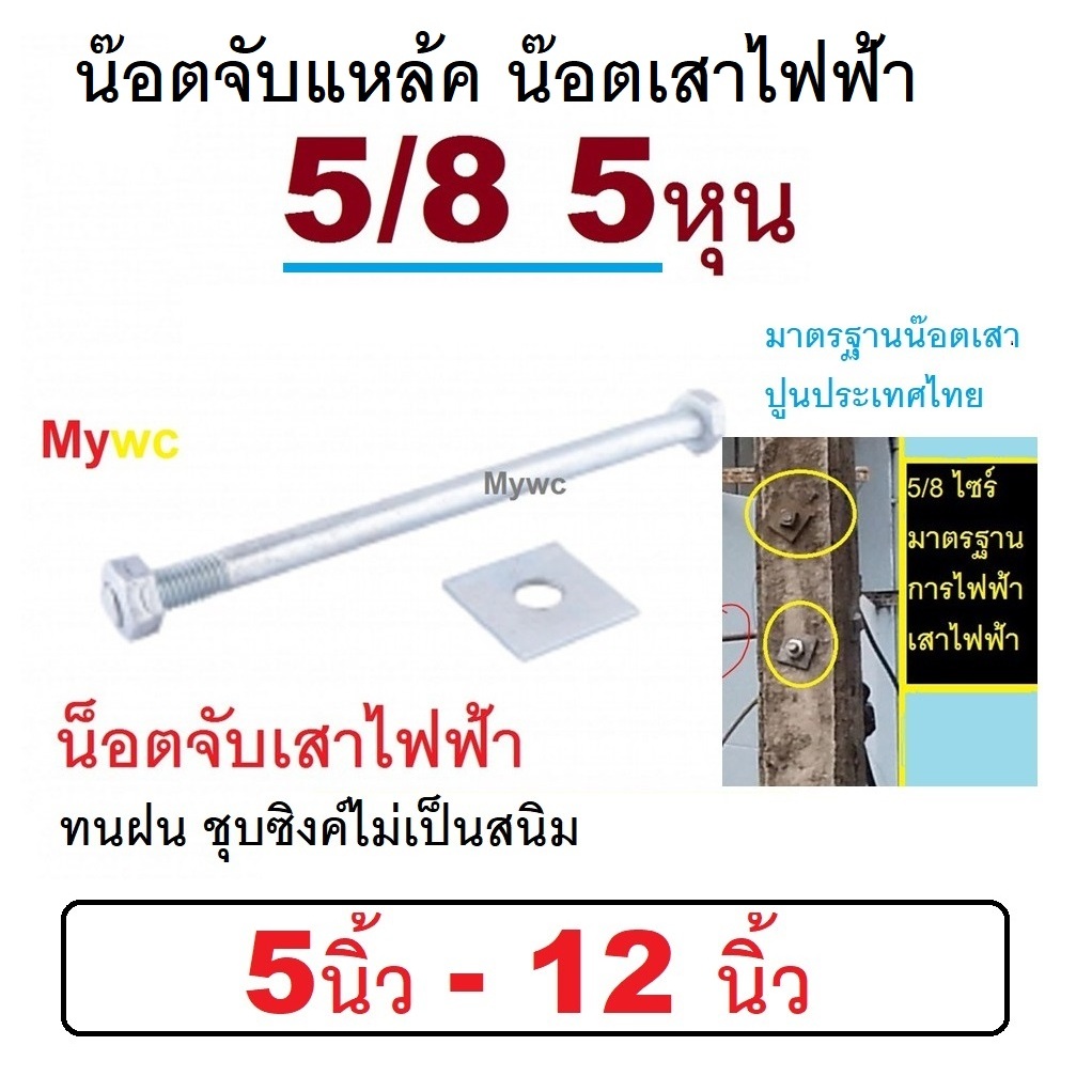 น๊อตจับเสา นีอตจับเสาไฟฟ้า 5นิ้ว - 12นิ้ว 5/8 5หุน น๊อตจับเหล็ค พร้อมแหวนตัวเมีย มาตรฐานการไฟฟ้า น๊อตจับเสา จับแหล้ค