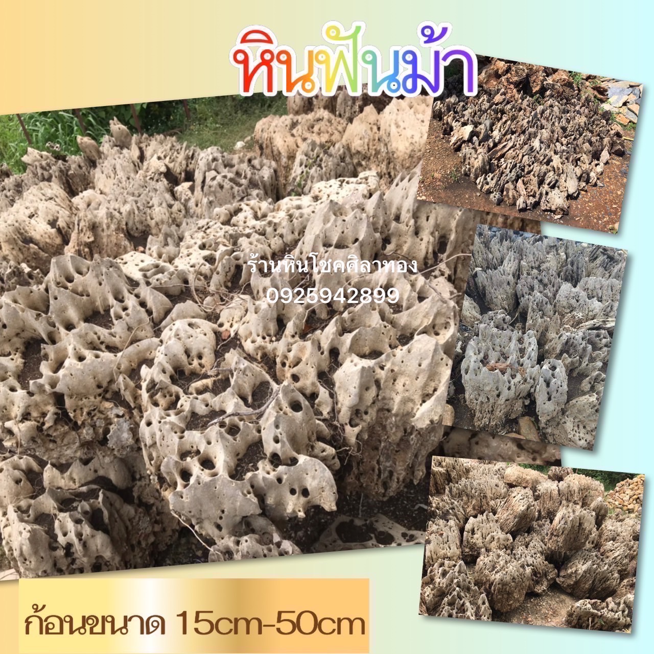 หินฟันม้า