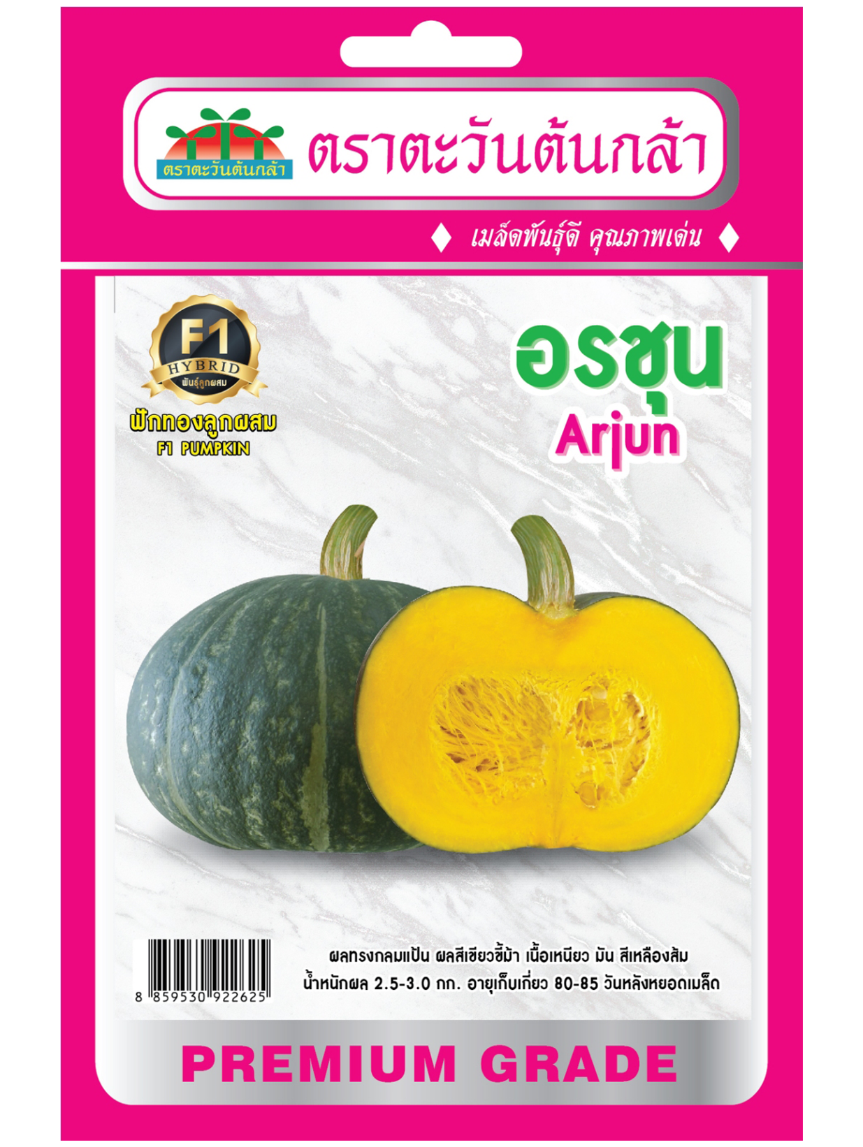 H67 ฟักทองลูกผสม อรชุม