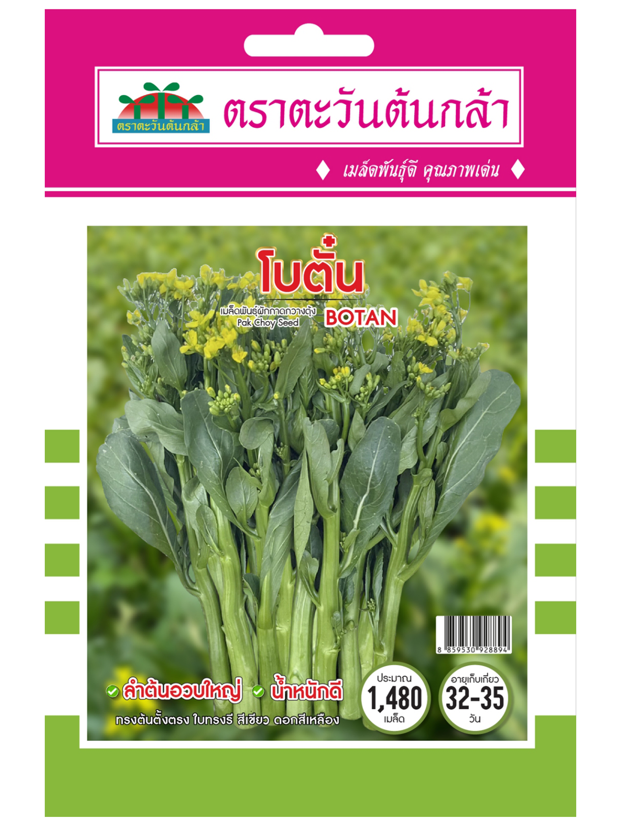 V85 เมล็ดพันธุ์ผักกาดกวางตุ้ง โบตั๋น