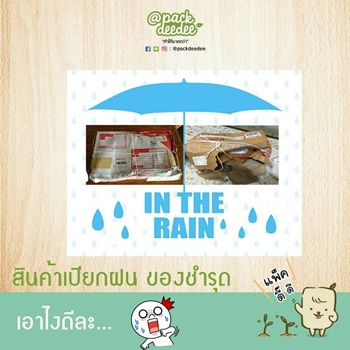 ซองไปรษณีย์พลาสติก จ่าหน้า Packdeedee P5 ขนาด 43x50+6 จำนวน 1000 ใบ