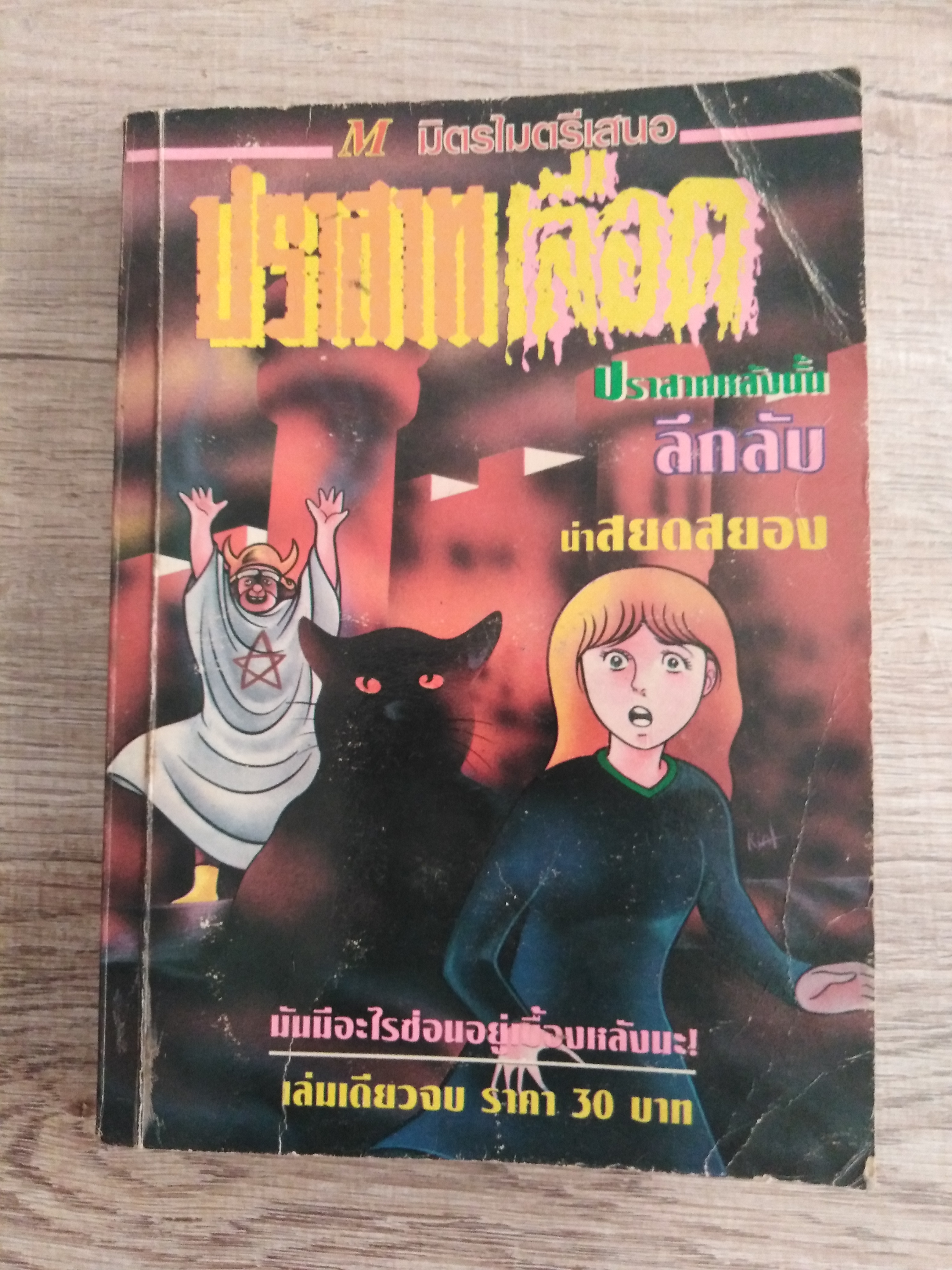 ปราสาทเลือด ( เล่มเดียวจบ) ผู้เขียน มายาดำเวทย์ทมิฬ