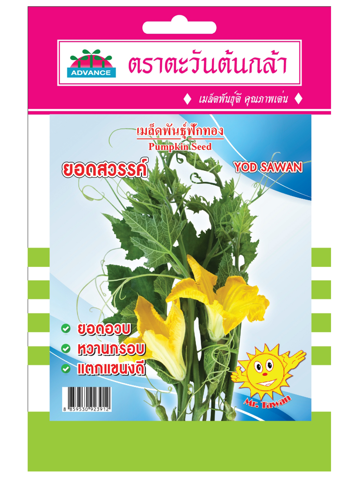 V81 เมล็ดพันธุ์ฟักทอง ยอดสวรรค์