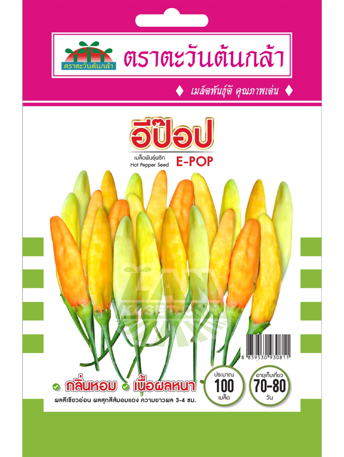 V92 เมล็ดพันธุ์พริก อีป๊อป
