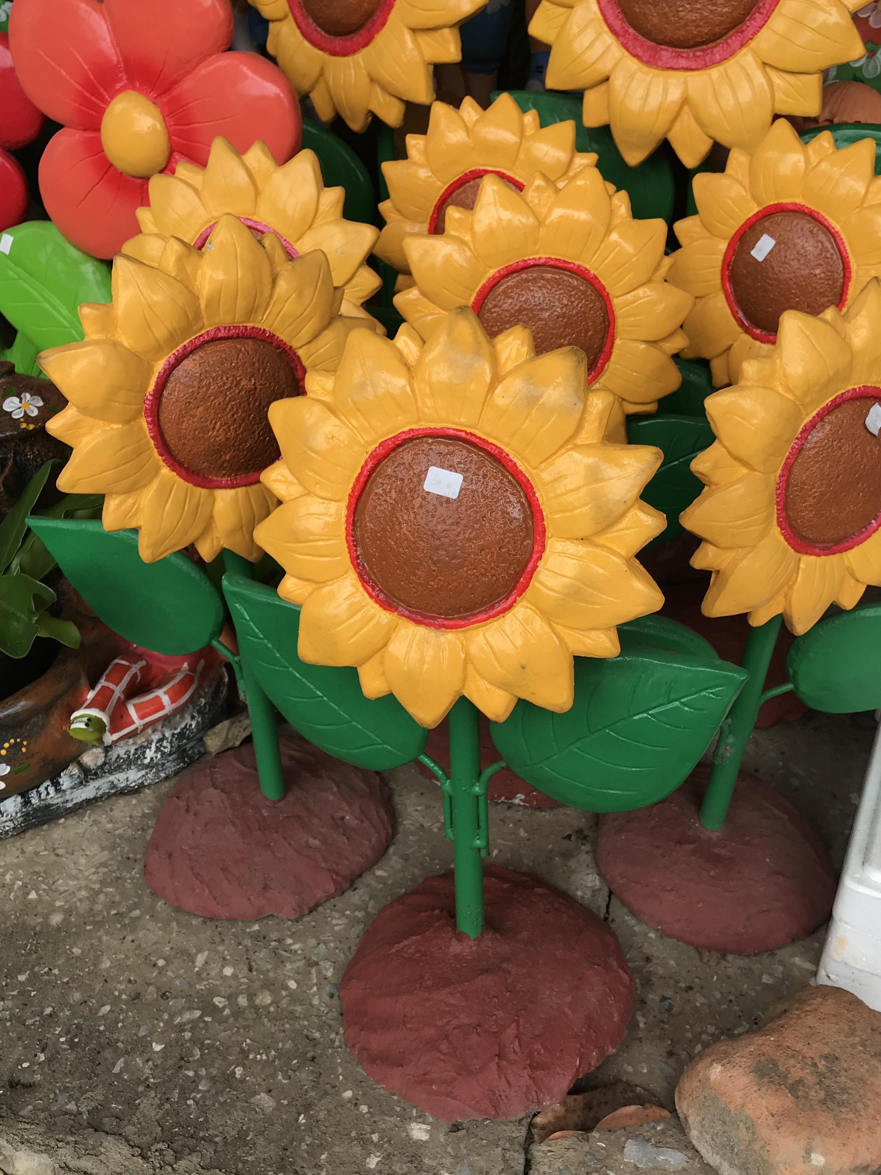 ดอกทานตะวันหินทราย