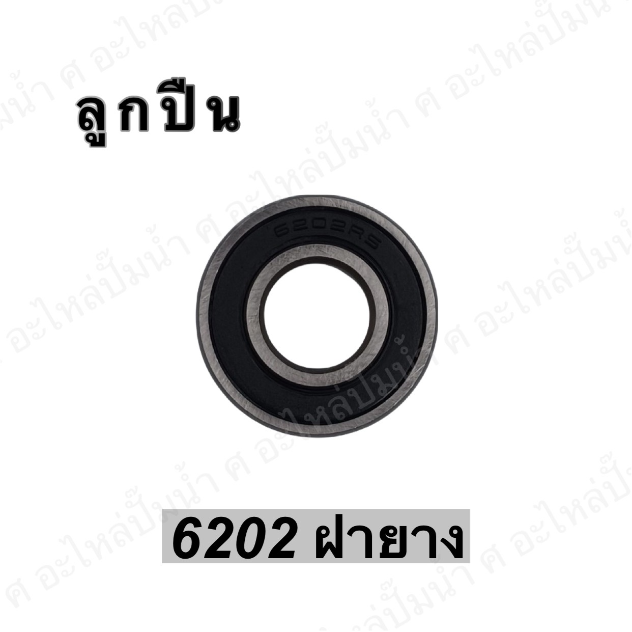 ลูกปืน 6202 ฝายาง