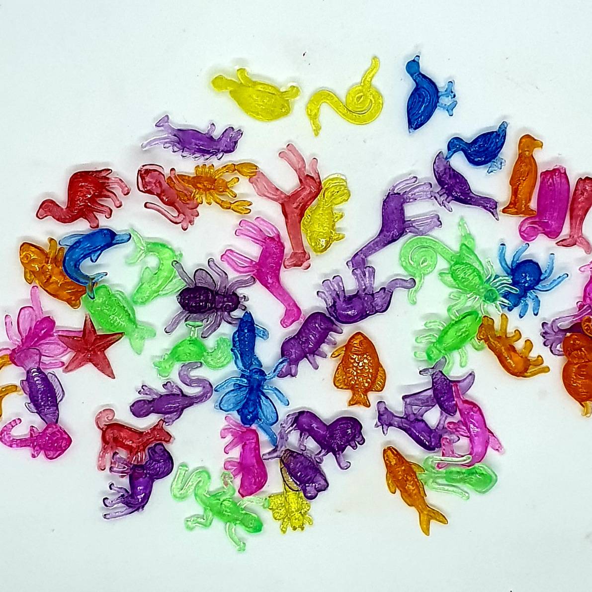 ตัวสัตว์ใสคละสี