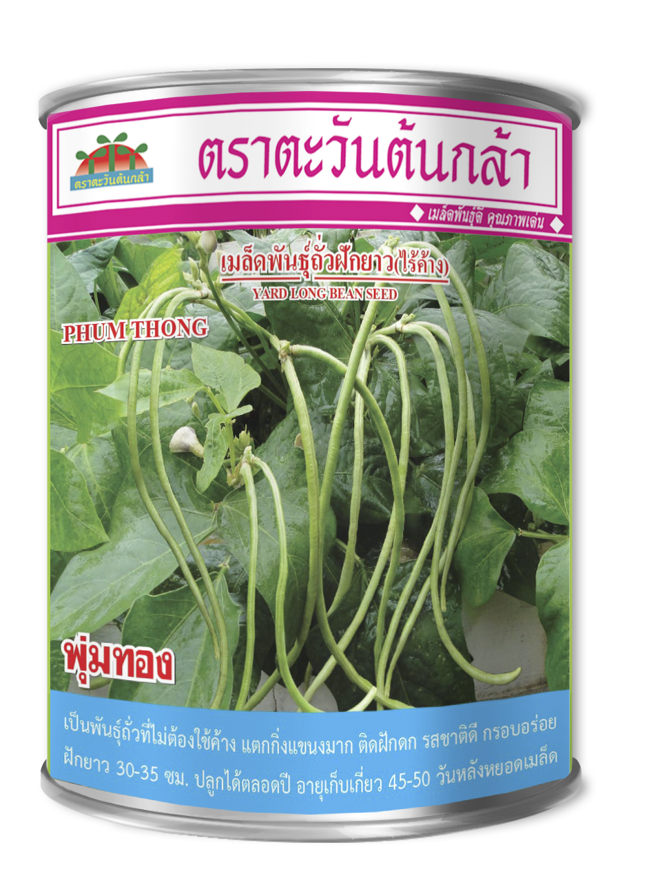 เมล็ดพันธุ์ถั่วฝักยาว (ไร้ค้าง) พุ่มทอง (500 กรัม)