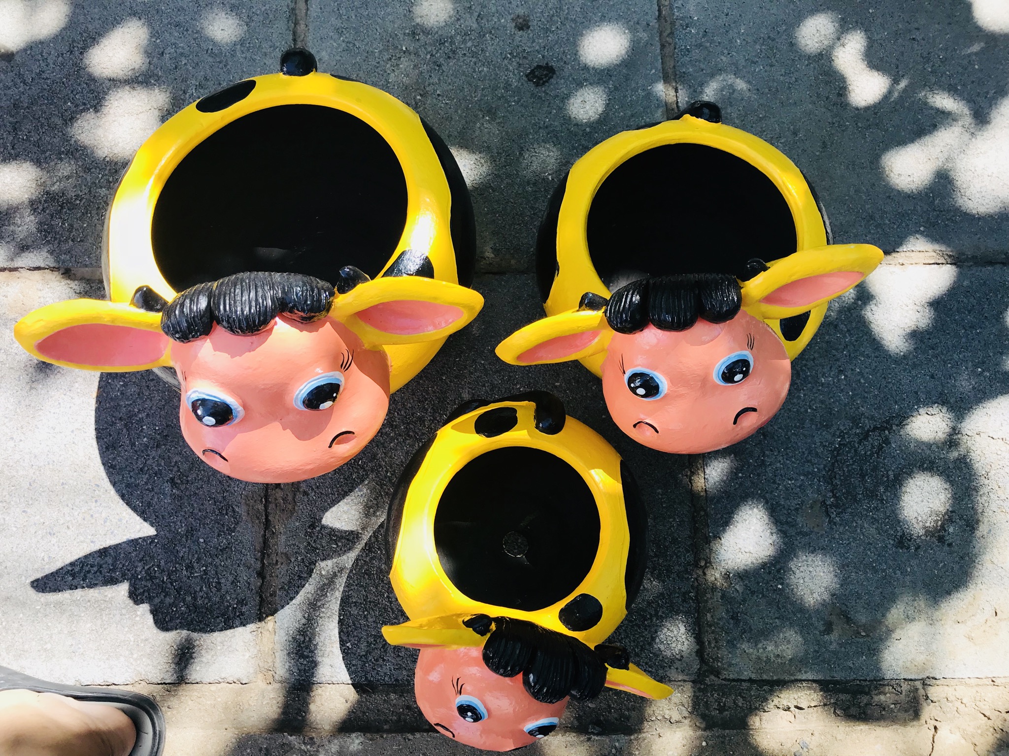 กระถางดินชุดครอบครัววัวแฟนซี