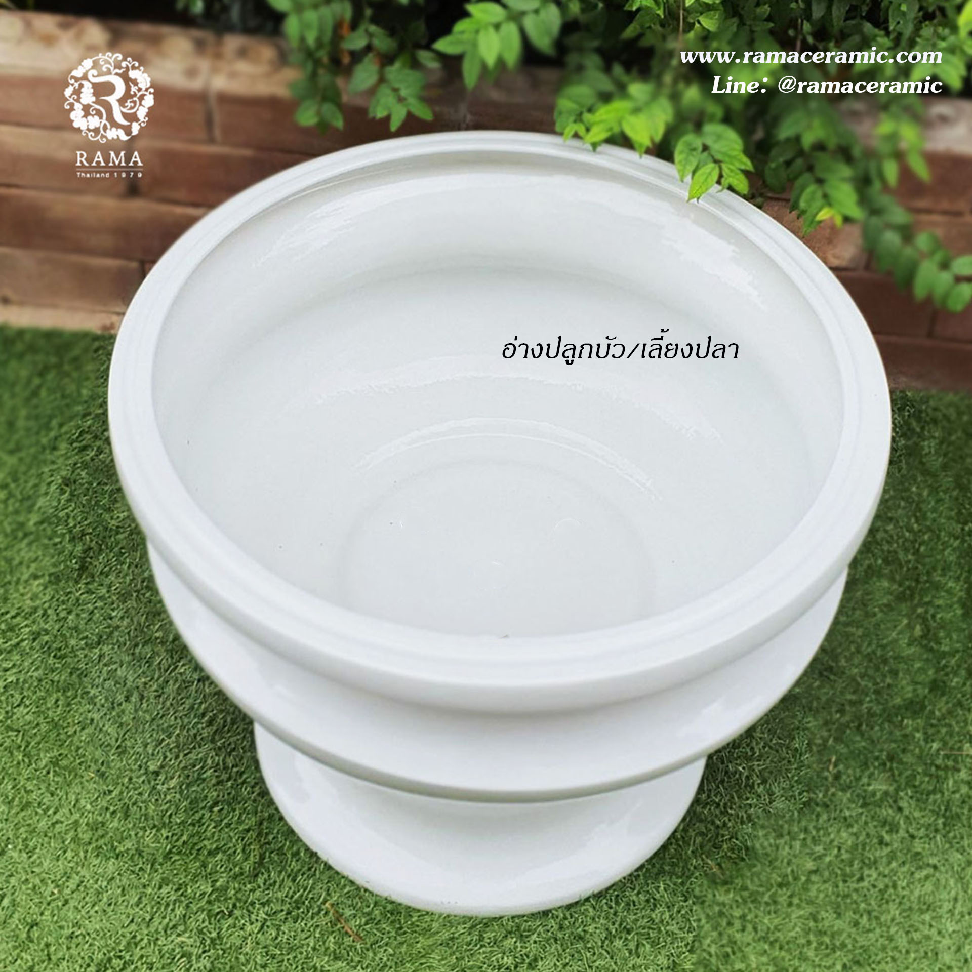 Bacilica 805 อ่างบัวเซรามิคขนาดใหญ่พร้อมฐานรอง สีขาว