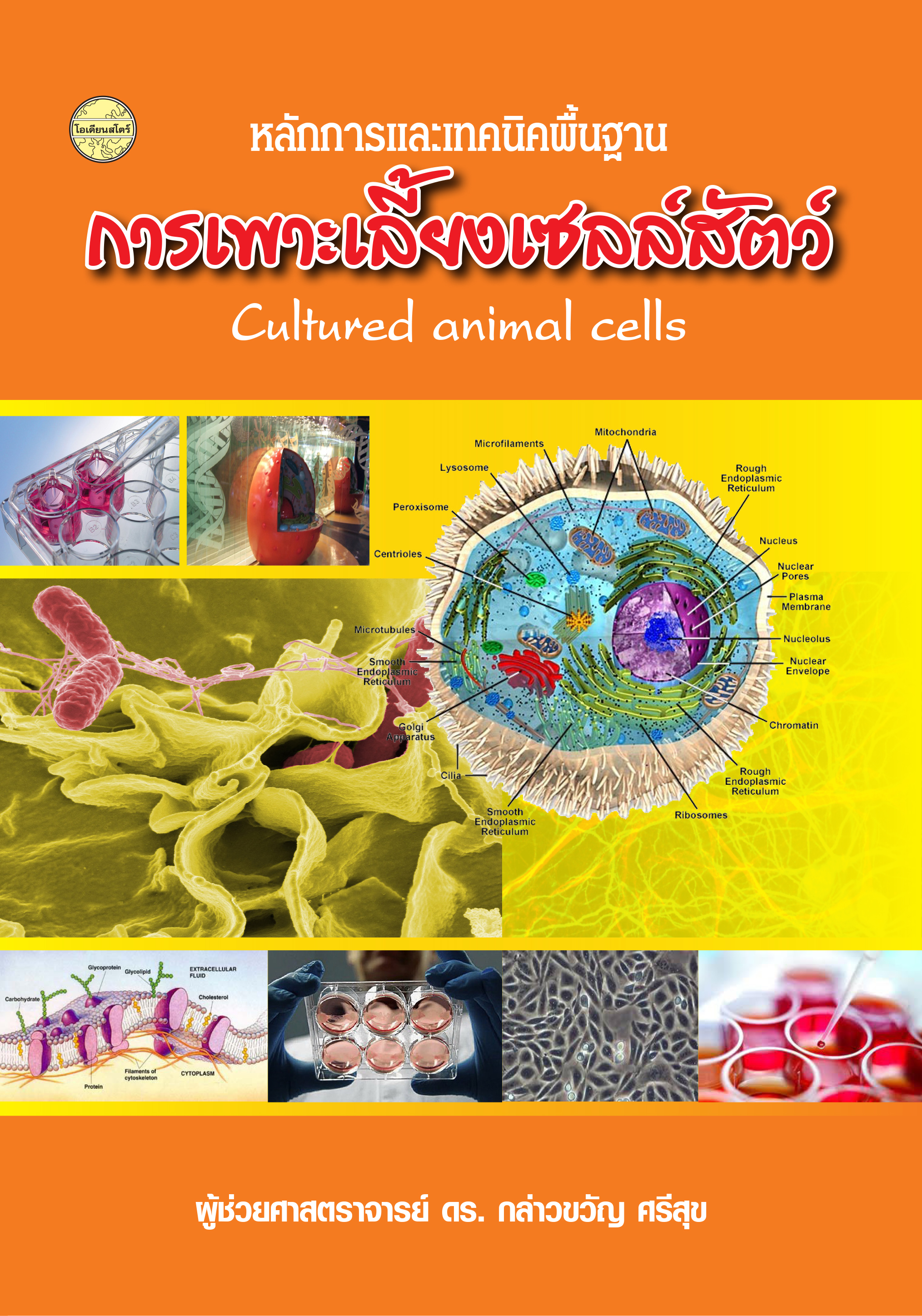 หลักการและเทคนิคพื้นฐานการเพาะเลี้ยงเซลล์สัตว์