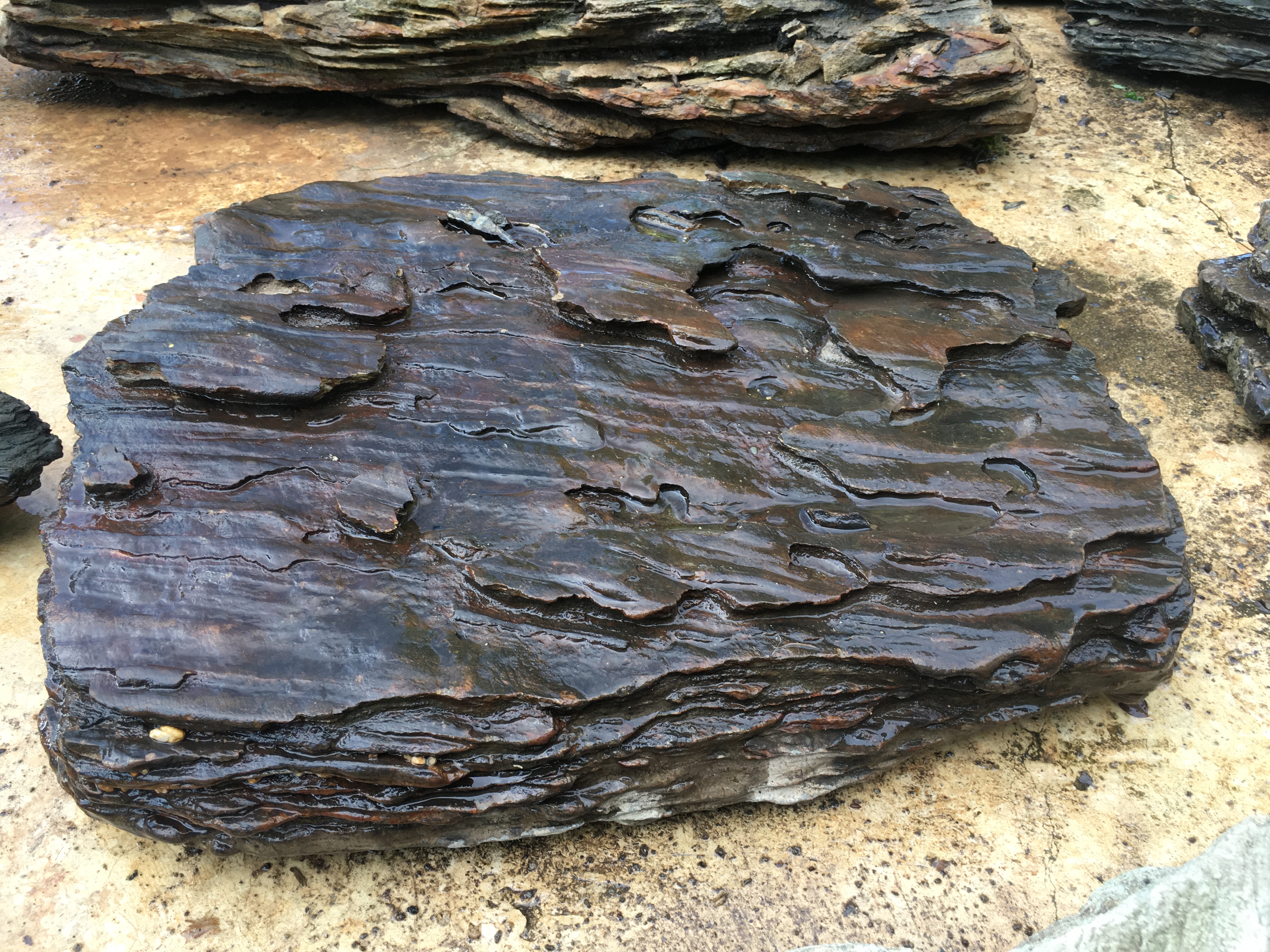 หินชั้นแม่น้ำ