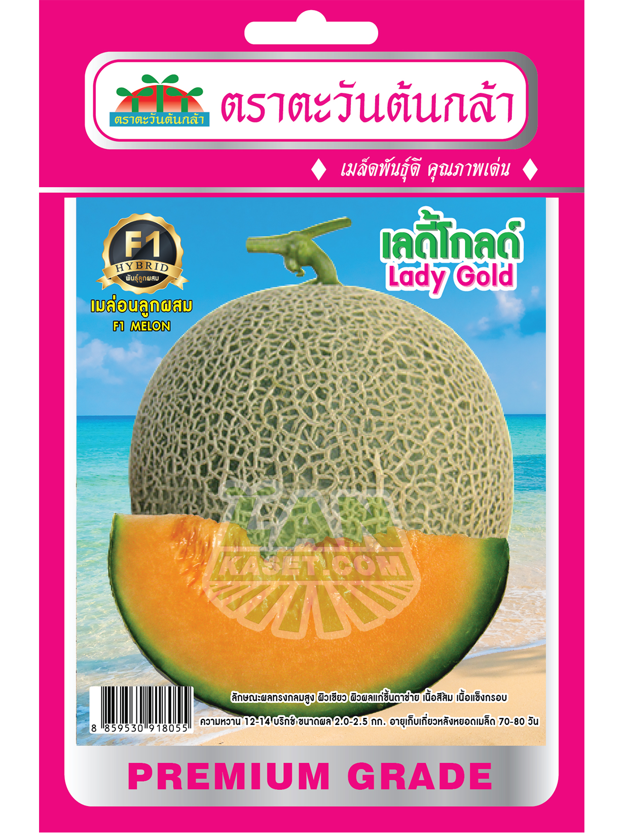 H41 เมล็ดพันธุ์เมล่อนลูกผสม เลดี้โกลด์