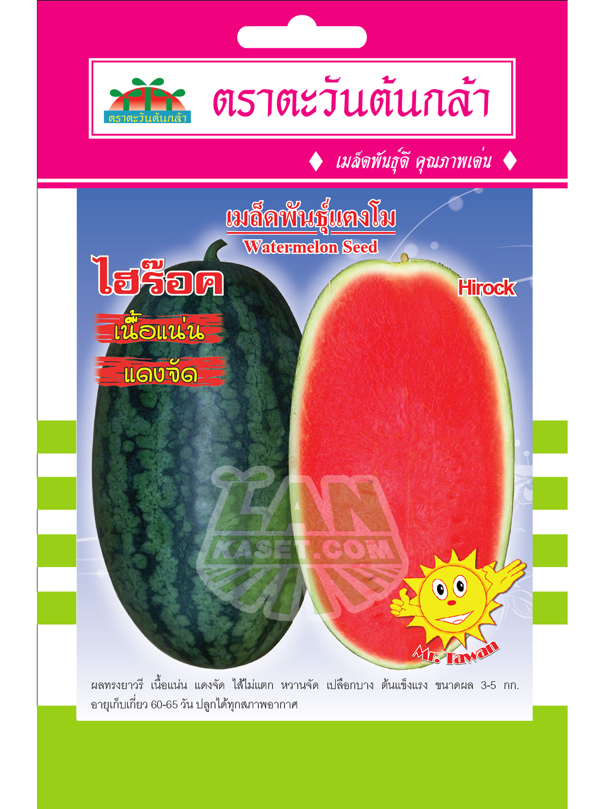 V2 เมล็ดพันธุ์แตงโม ไฮร๊อค