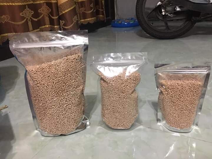 สาคูต้น