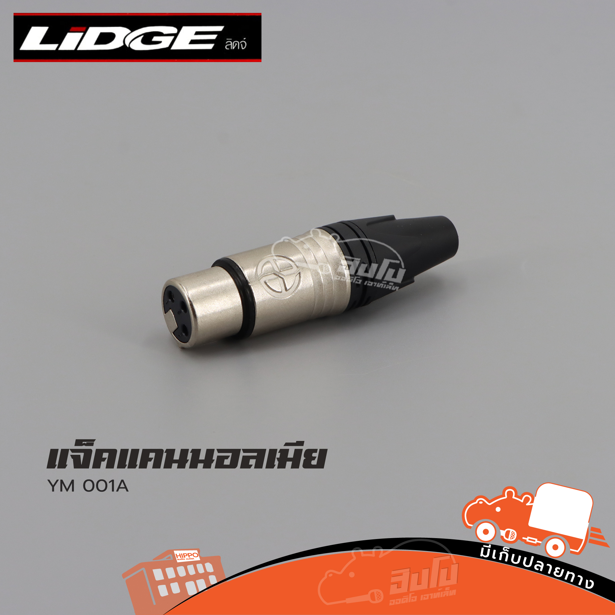 แจ็คแคนนอลเมีย YM 001A LIDGE (ฃ3.3)