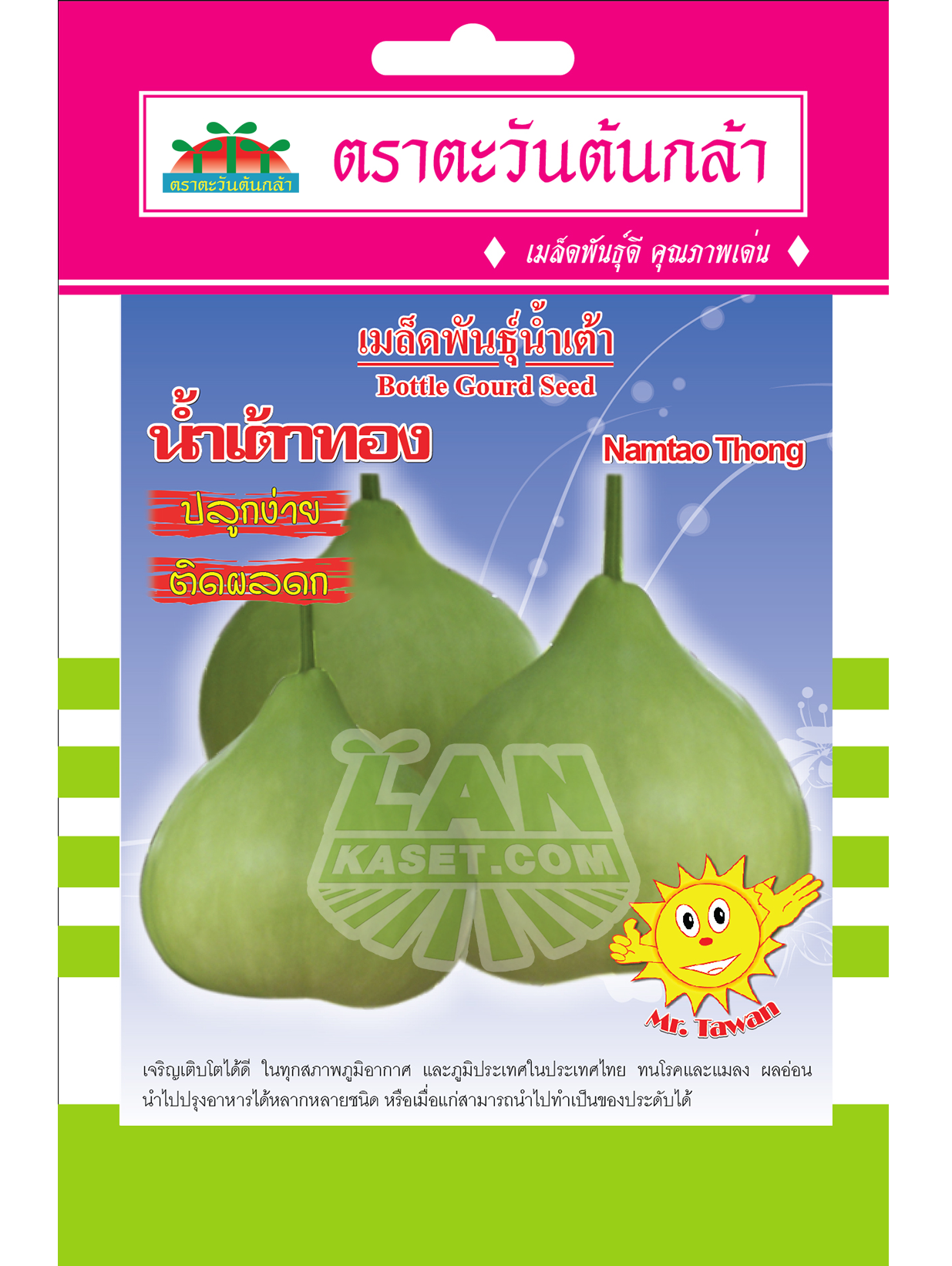 V11 เมล็ดพันธุ์น้ำเต้า น้ำเต้าทอง