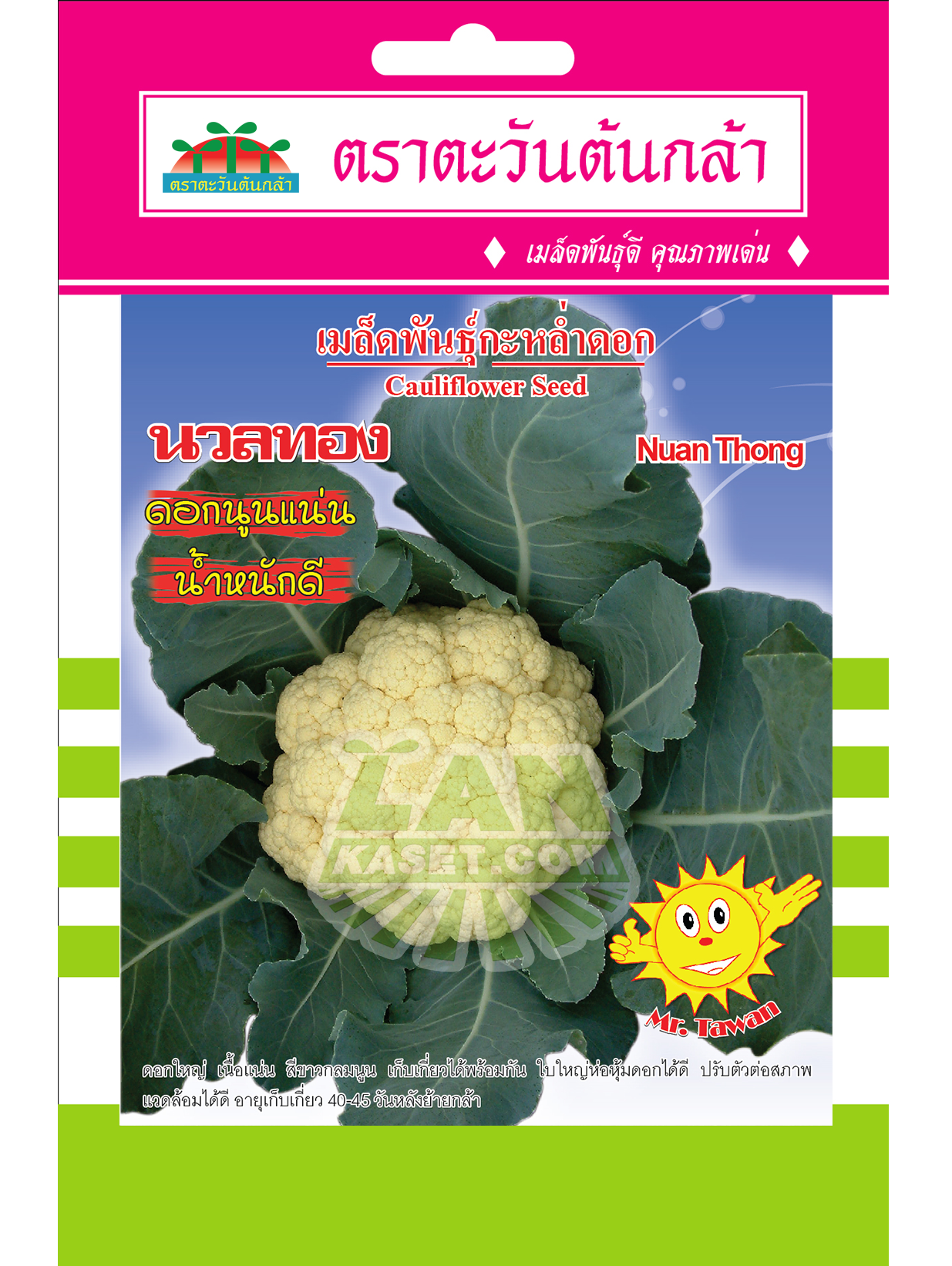 V23 เมล็ดพันธุ์กะหล่ำดอก นวลทอง