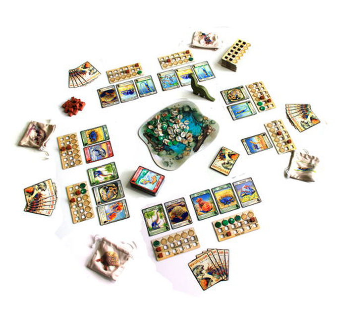 Evolution 3rd Edition