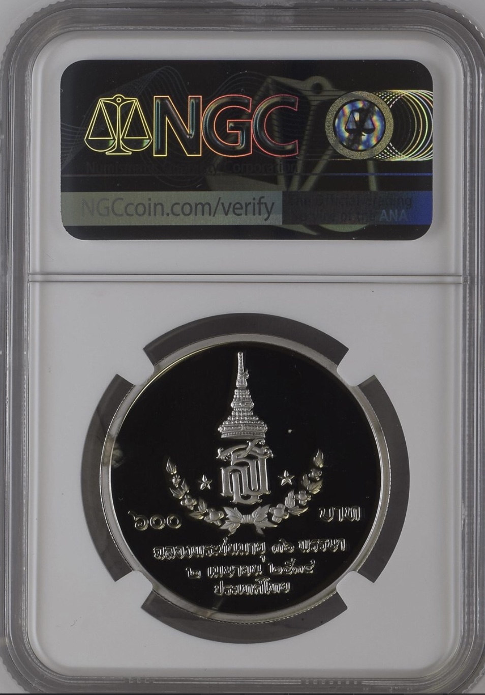 สมเด็จพระเทพรัตนราชสุดาฯ สยามบรมราชกุมารี พระชนมายุ 36 พรรษา