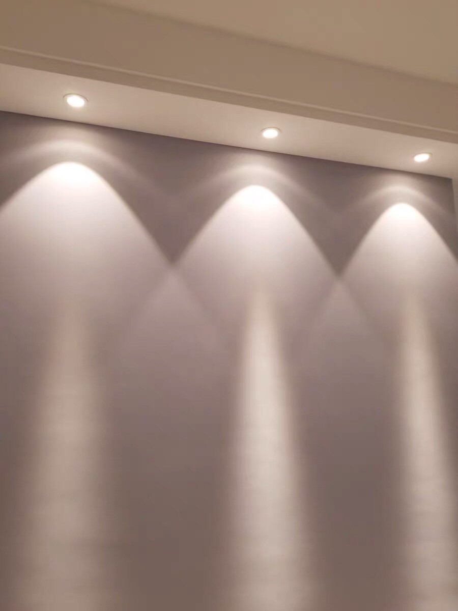 LED Downlight COB Adjust Angle 5W Daylight