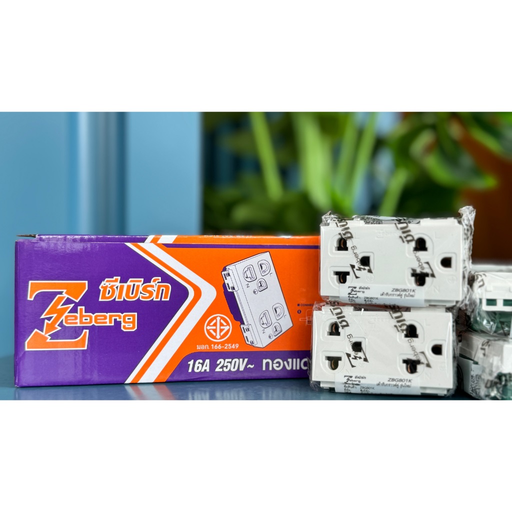Zeberg ปลั๊กกราวด์คู่ ซีเบิร์ก รุ่น ZBG801K (เสียบแนวนอน) 10ตัว