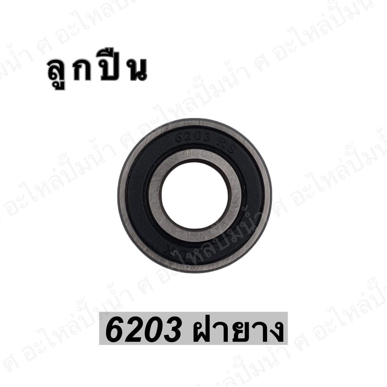 ลูกปืน 6203 ฝายาง