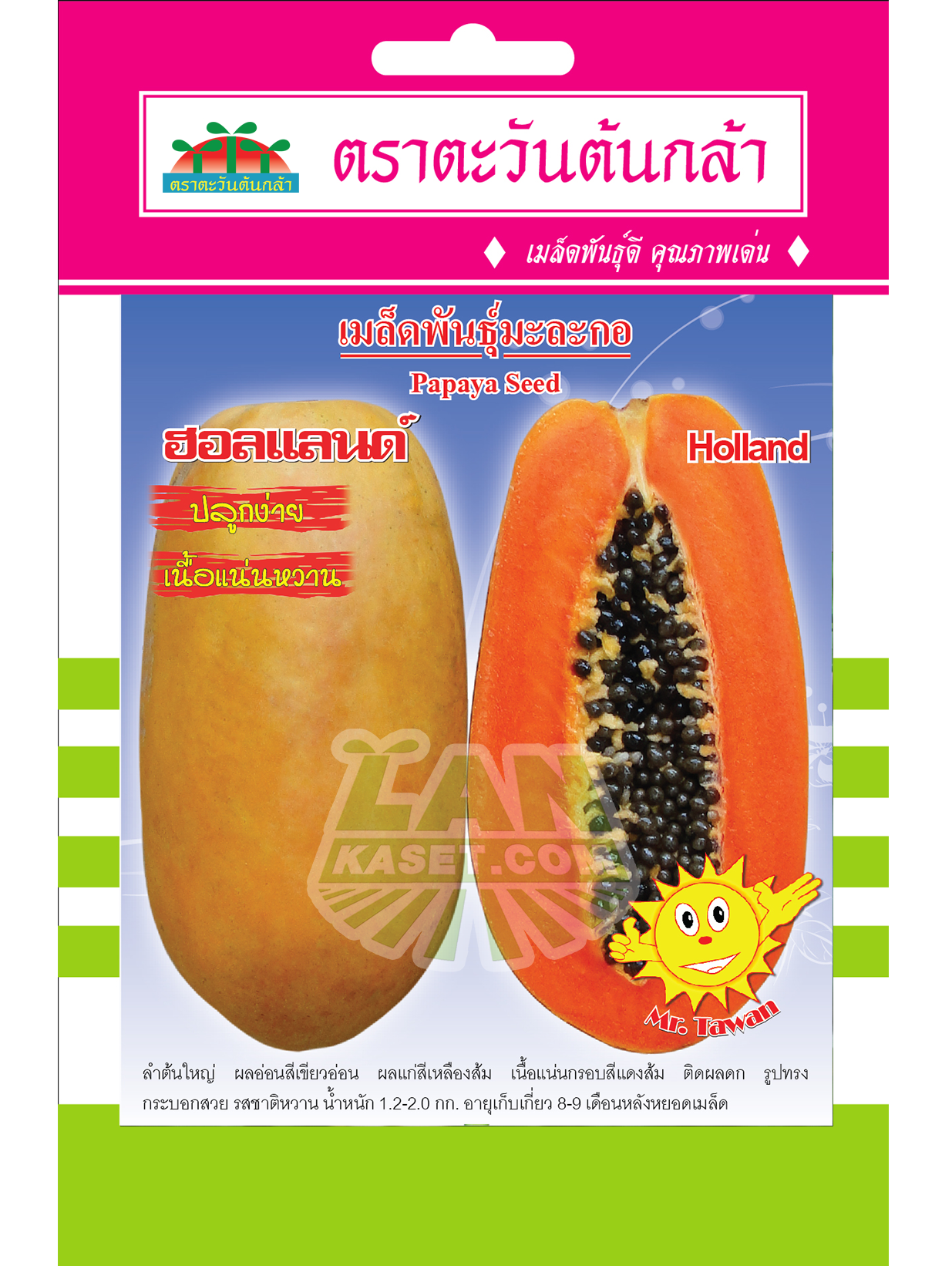 V56 เมล็ดพันธุ์มะละกอ ฮอลแลนด์