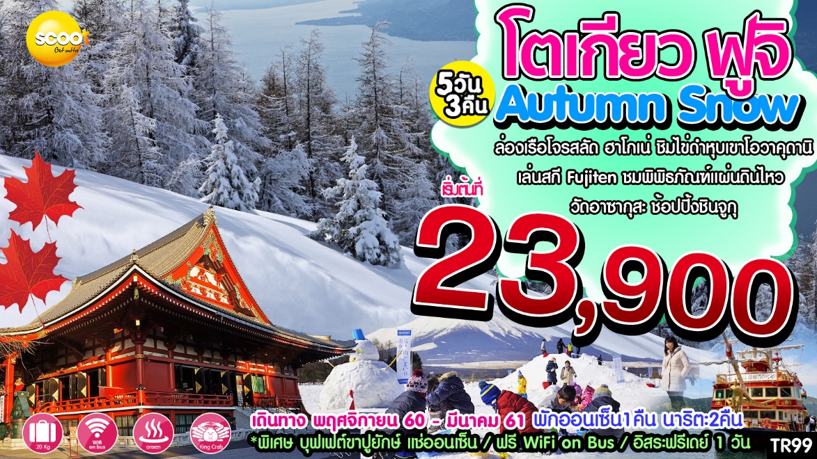 Autumn Snow โตเกียว ฟูจิ 5วัน 3คืน พ.ย 60- มี.ค 61