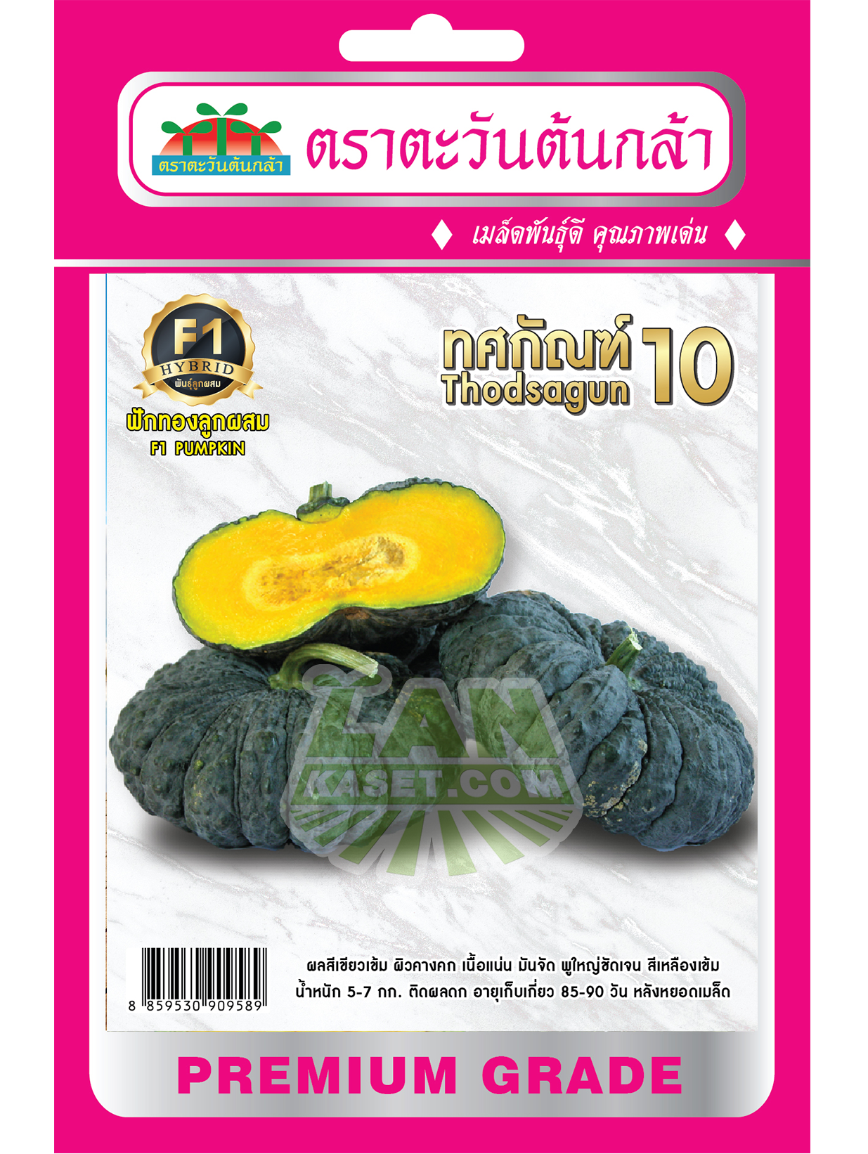 H17 ฟักทองลูกผสม ทศกัณฑ์ 10